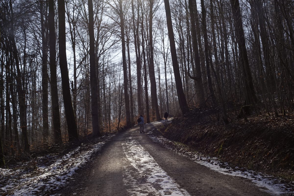 2018-02-25_5431_WALD_WINTER